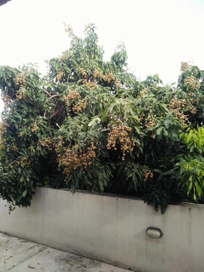 Baba Pim Villa Chiang Mai Buitenkant foto